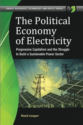 The Political Economy of Electricity 1