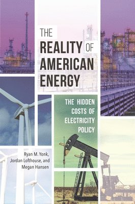 bokomslag Reality of American Energy