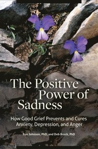 bokomslag The Positive Power of Sadness