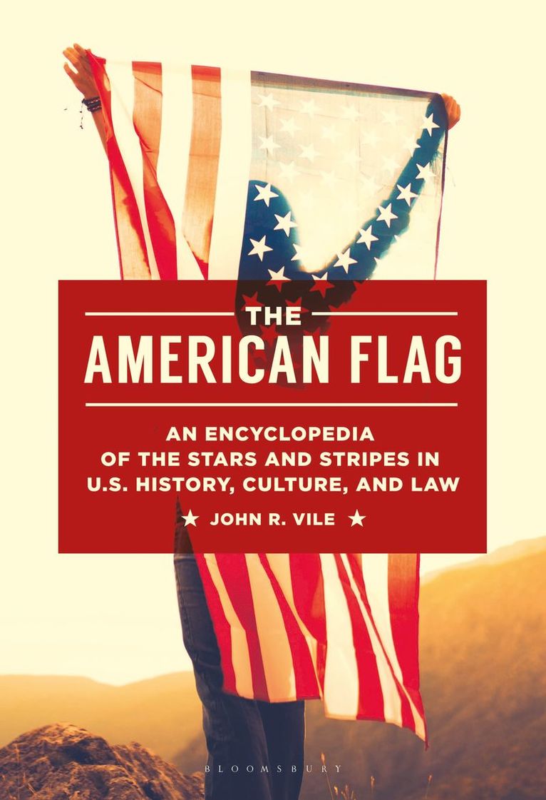 American Flag 1