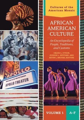 bokomslag African American Culture