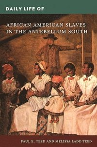 bokomslag Daily Life of African American Slaves in the Antebellum South