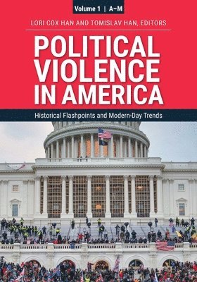 bokomslag Political Violence in America