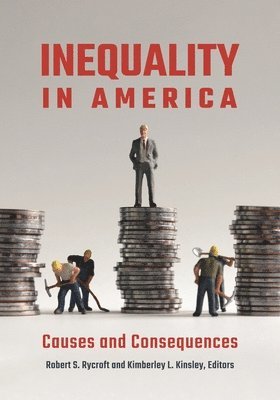 bokomslag Inequality in America