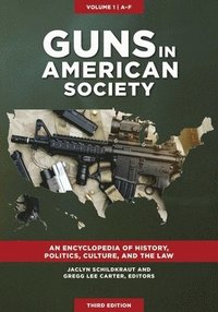 bokomslag Guns in American Society