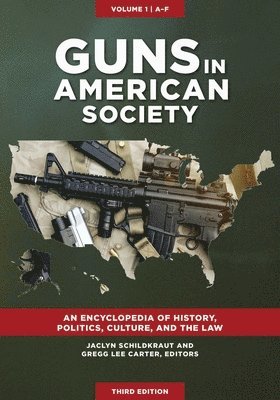 Guns in American Society 1