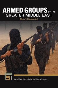 bokomslag Armed Groups of the Greater Middle East