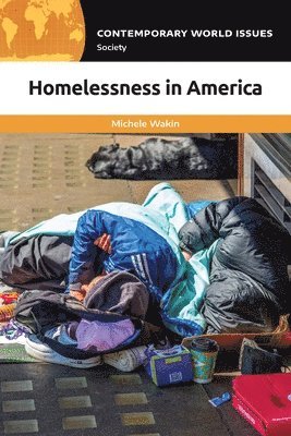 bokomslag Homelessness in America