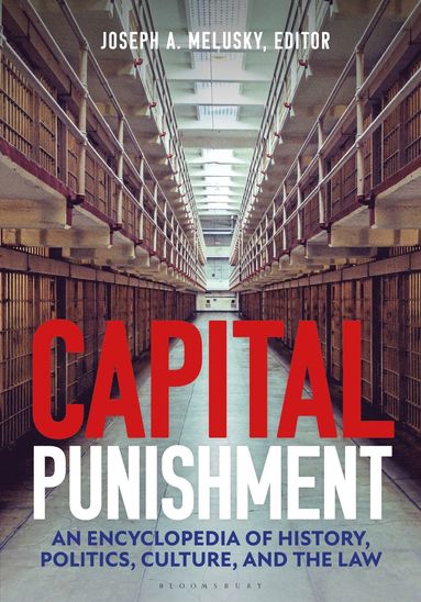 bokomslag Capital Punishment