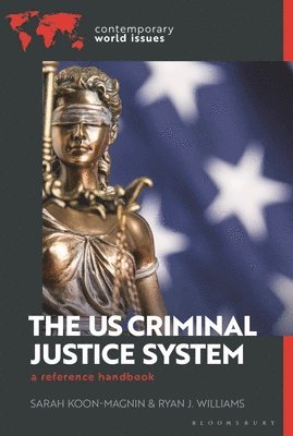 bokomslag US Criminal Justice System