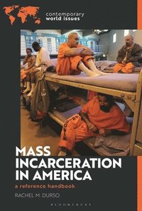bokomslag Mass Incarceration in America