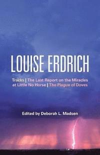 bokomslag Louise Erdrich