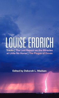 bokomslag Louise Erdrich