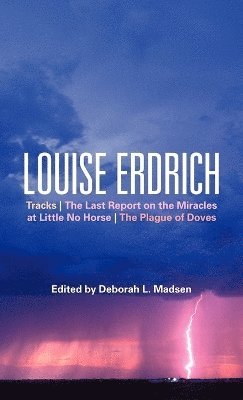 bokomslag Louise Erdrich