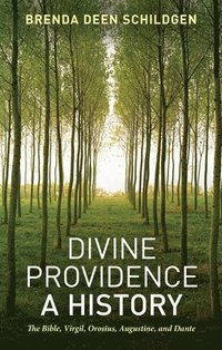 bokomslag Divine Providence: A History