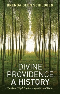 bokomslag Divine Providence: A History