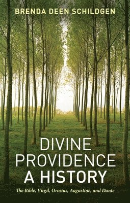 bokomslag Divine Providence: A History