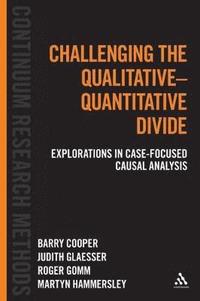 bokomslag Challenging the Qualitative-Quantitative Divide