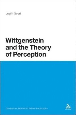 bokomslag Wittgenstein and the Theory of Perception