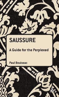 Saussure: A Guide For The Perplexed