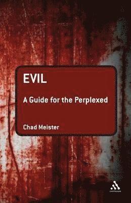 bokomslag Evil: A Guide for the Perplexed