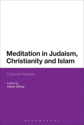 Halvor Eifring, Norway) Eifring, Professor Halvor (University of Oslo - Meditation in Judaism, Christianity and Islam, Inbunden