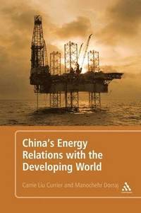 bokomslag China's Energy Relations with the Developing World