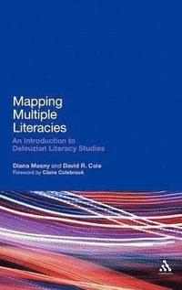 bokomslag Mapping Multiple Literacies