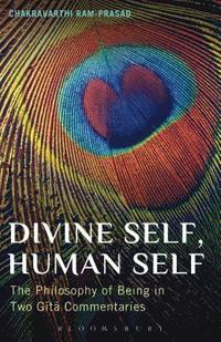bokomslag Divine Self, Human Self