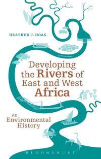 bokomslag Developing the Rivers of East and West Africa