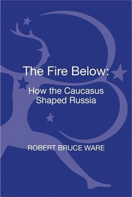 bokomslag Fire Below