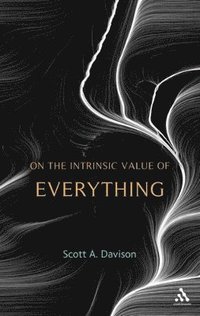 bokomslag On the Intrinsic Value of Everything