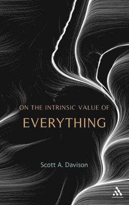 On the Intrinsic Value of Everything