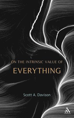 On the Intrinsic Value of Everything 1