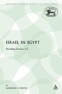 bokomslag Israel in Egypt