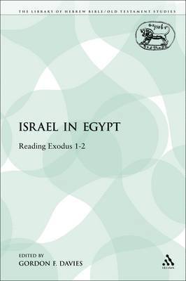 bokomslag Israel in Egypt