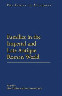 bokomslag Families in the Roman and Late Antique World