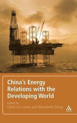 bokomslag China's Energy Relations with the Developing World