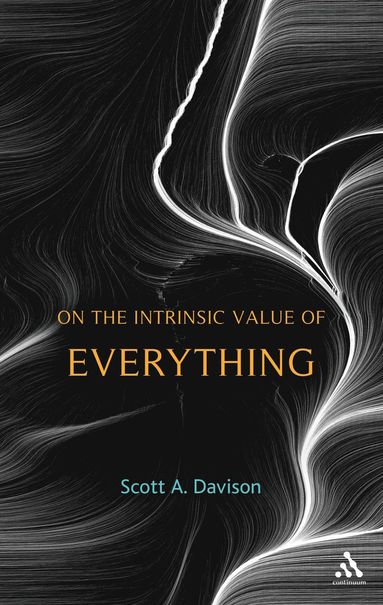 bokomslag On the Intrinsic Value of Everything