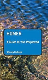 bokomslag Homer: A Guide for the Perplexed