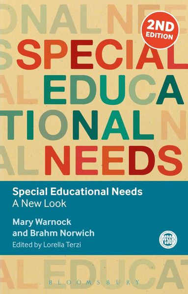 bokomslag Special Educational Needs