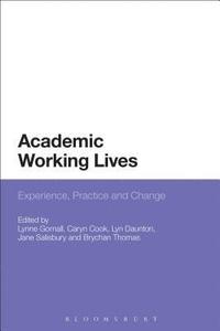 bokomslag Academic Working Lives