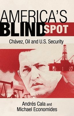 bokomslag America's Blind Spot