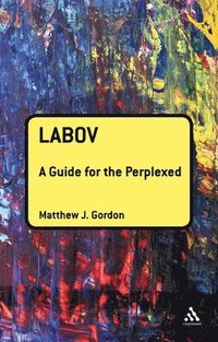 bokomslag Labov: A Guide for the Perplexed