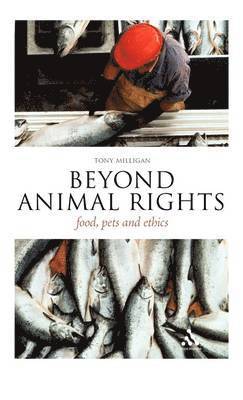 bokomslag Beyond Animal Rights