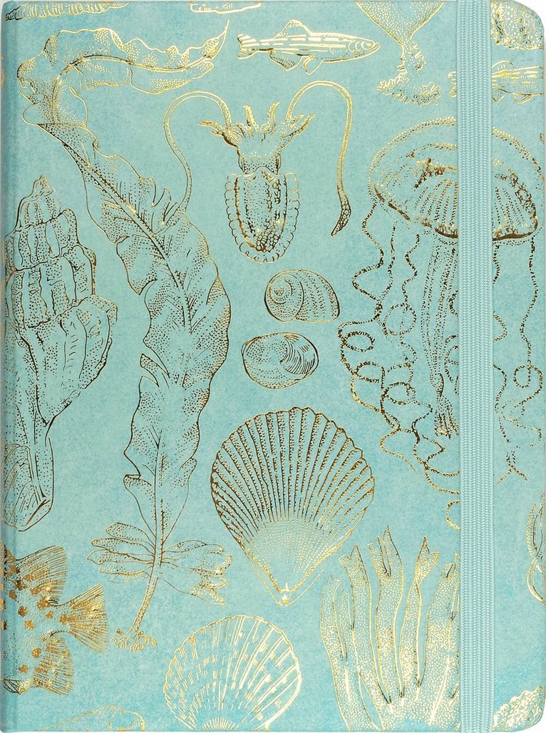 Anteckningsbok 21x16cm linjerad Sealife, Övrigt