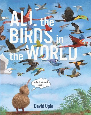 bokomslag All the Birds in the World