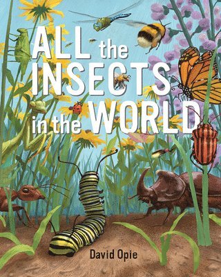 bokomslag All the Insects in the World