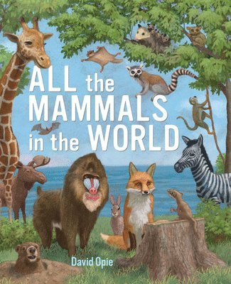 bokomslag All the Mammals in the World