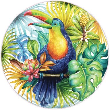 Pussel 1000 bitar Tropical Toucan, Round 1